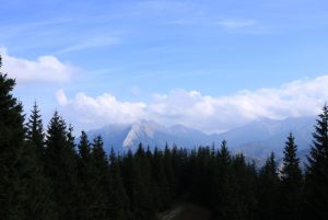 Fotoaktywni 63